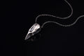 Bird Bone Pendant
